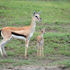 Mama und Kleines