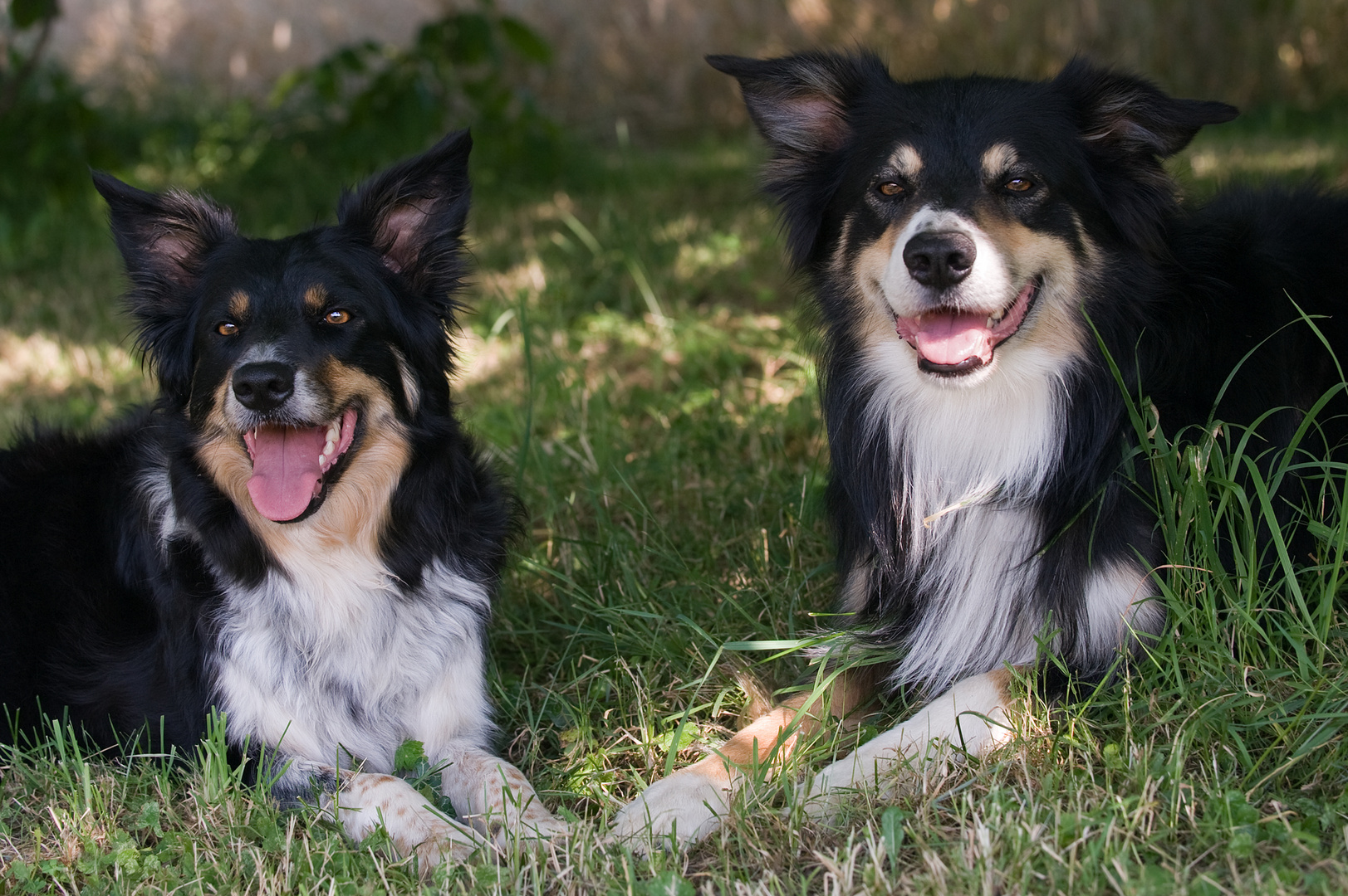 Mama und Papa