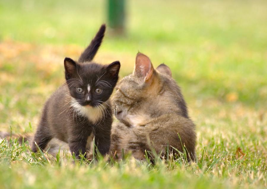 Mama und Sohn 1