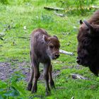 Mama und Sohn!