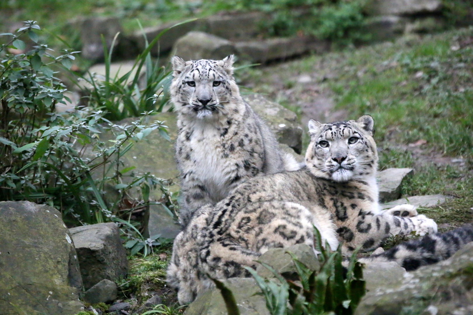 Mama und Sohn