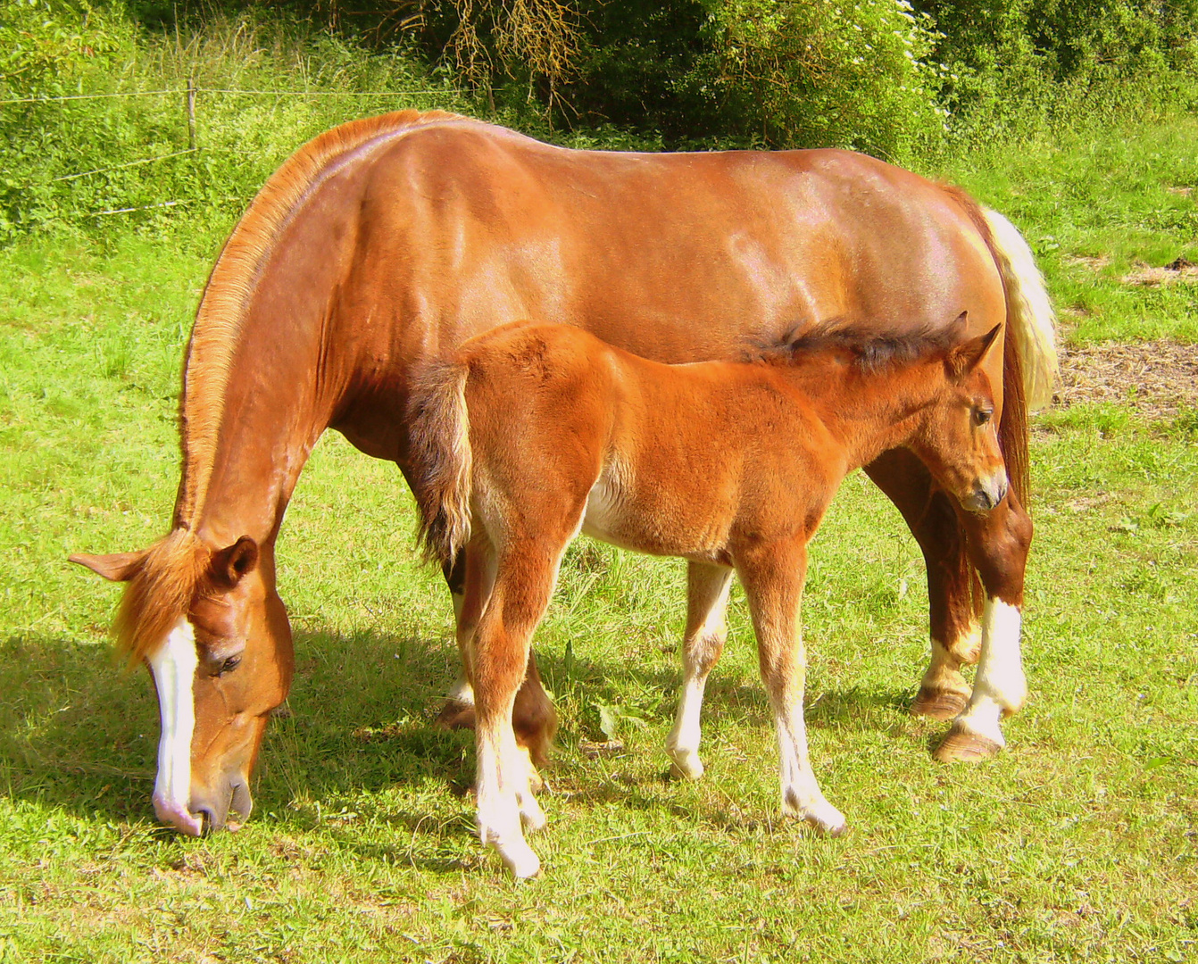 Mama und Sohn