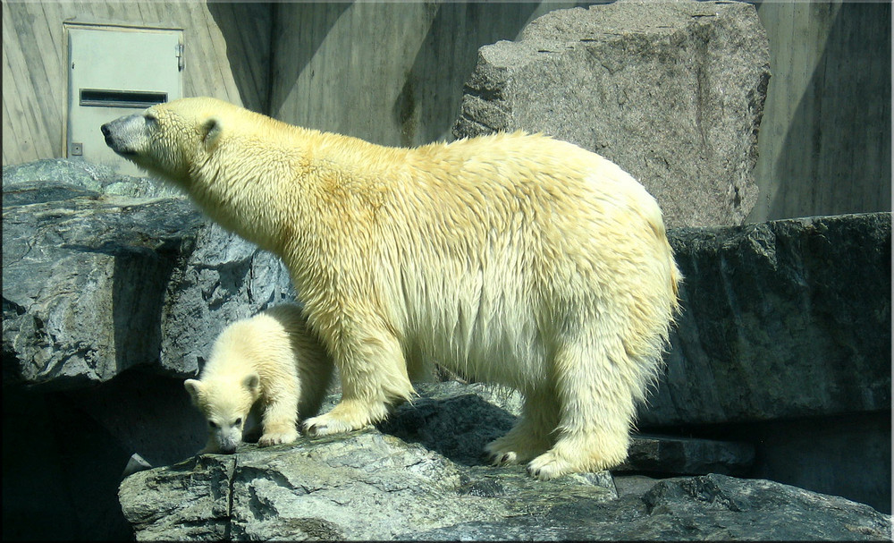 Mama und Sohn