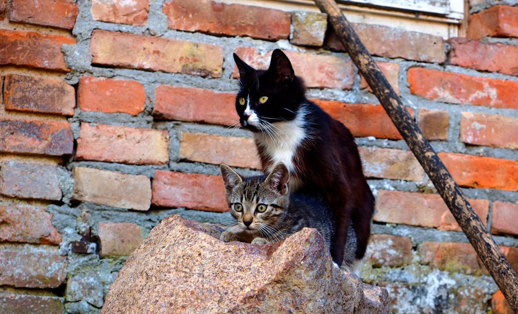 Mama und Sohn