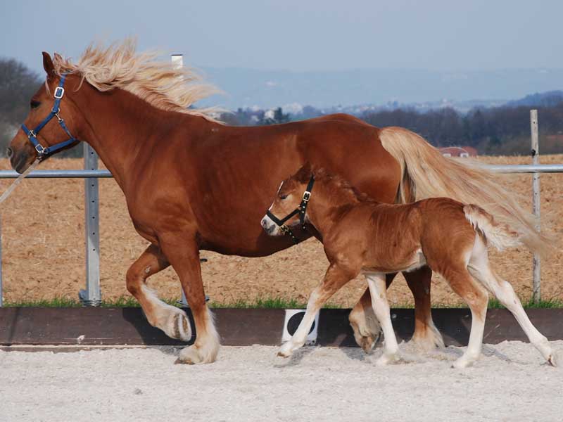 Mama und Sohn