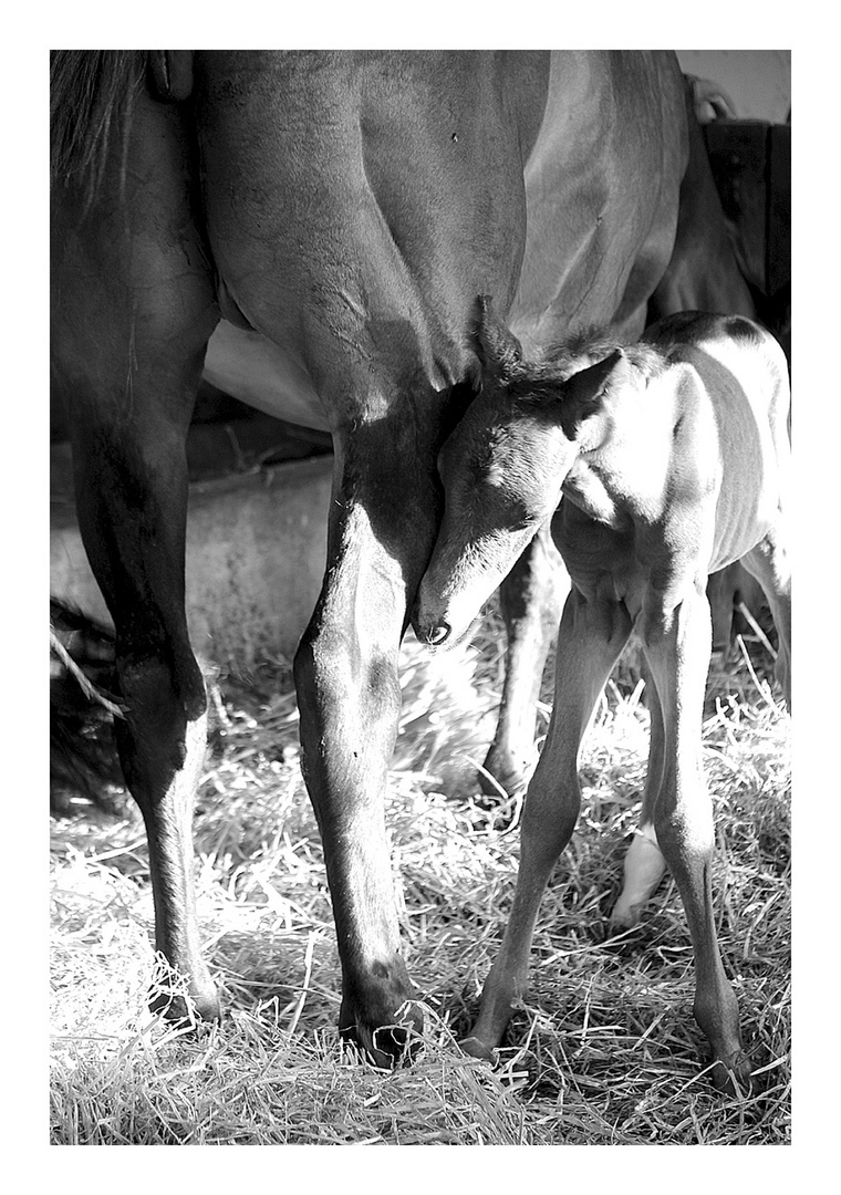 Mama und Sohnemann 2