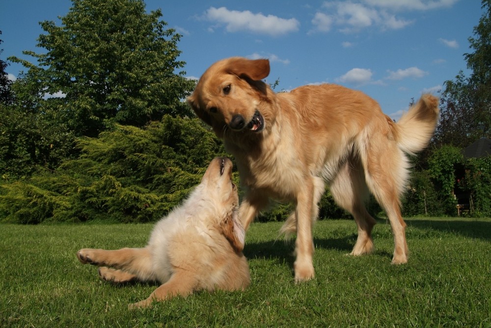 Mama und Tochter