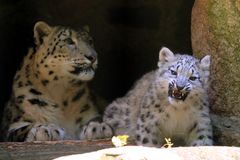 Mama und Tochter