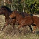 Mama und Tochter