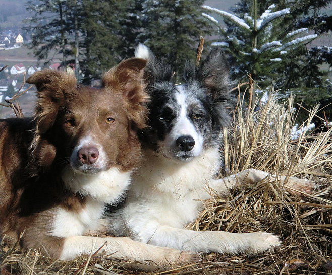 Mama und Tochter