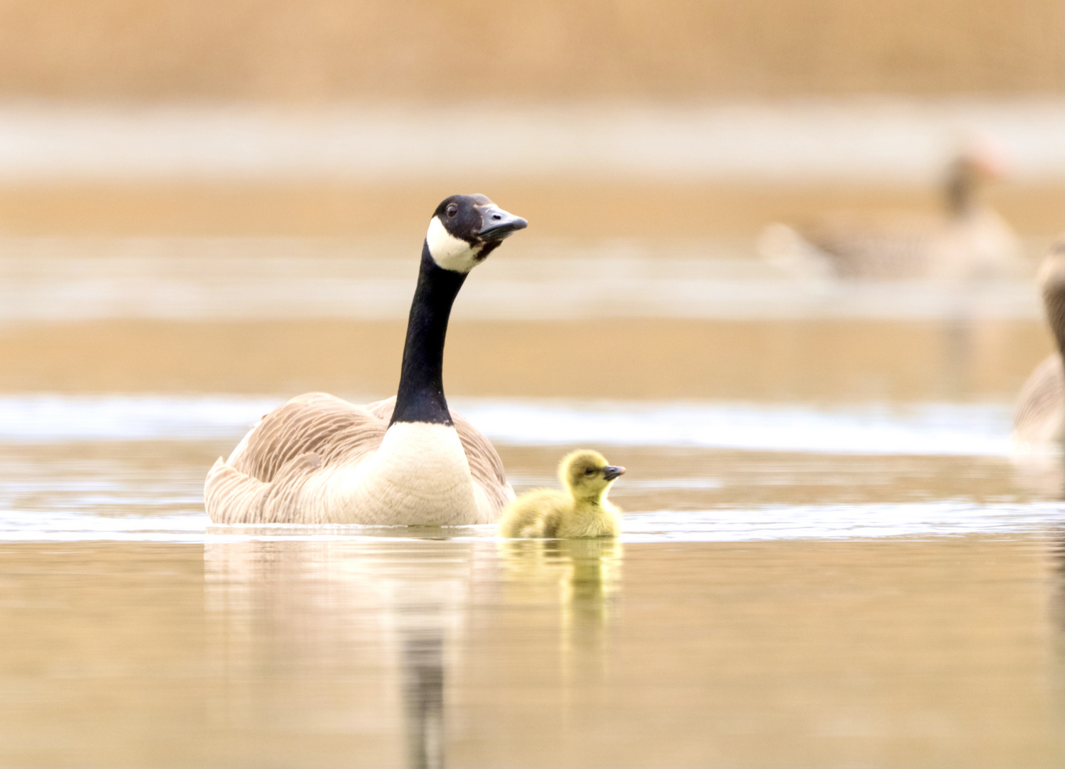 Mama und Tochter... Oder doch Sohn? 