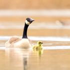 Mama und Tochter... Oder doch Sohn? 