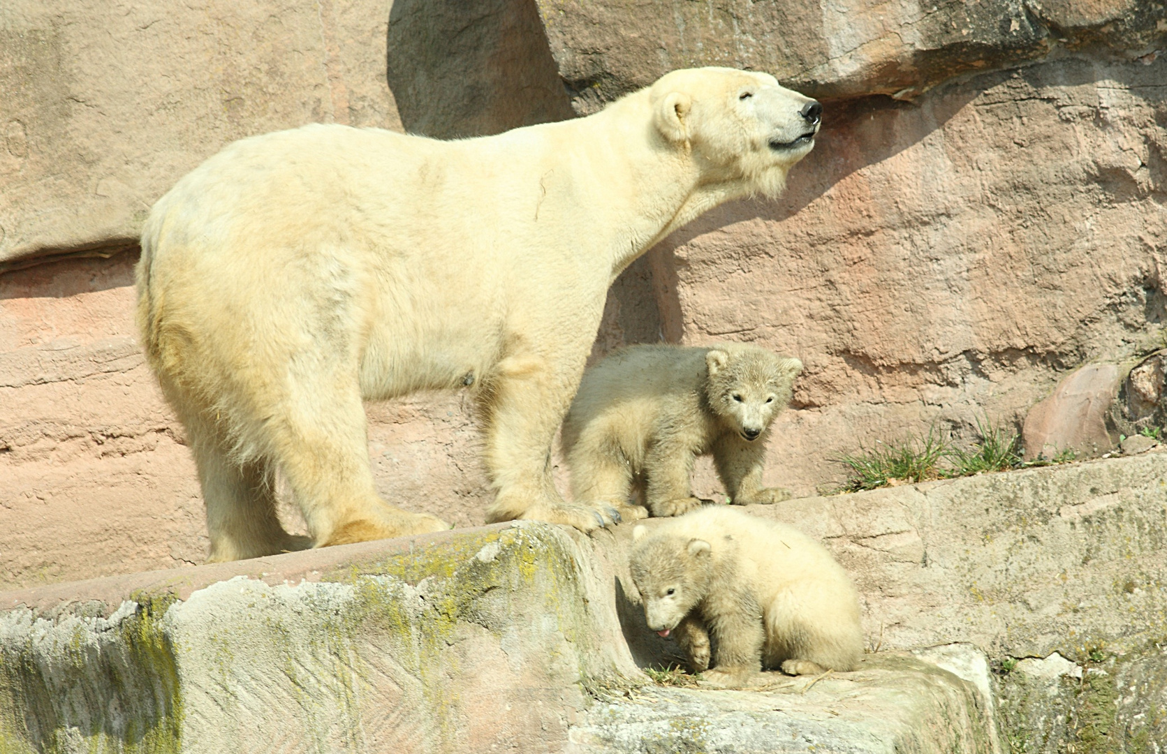 Mama Vera mit den Jungen Gregor und Aleut