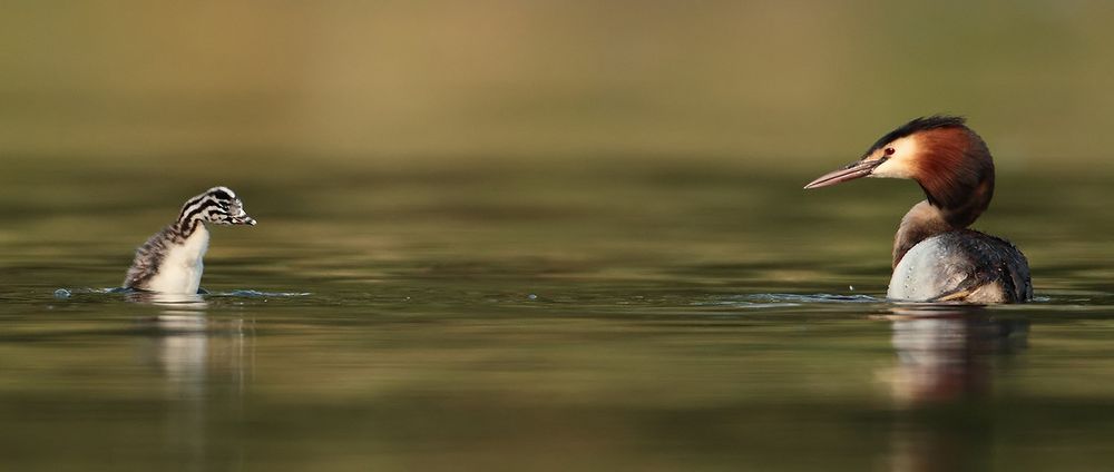 Mama, wann darf ich endlich zum Wasserski-Kurs?