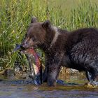 Mama war erfolgreich...