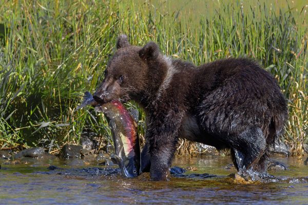 Mama war erfolgreich...