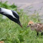 Mama warum gucken die alle so?