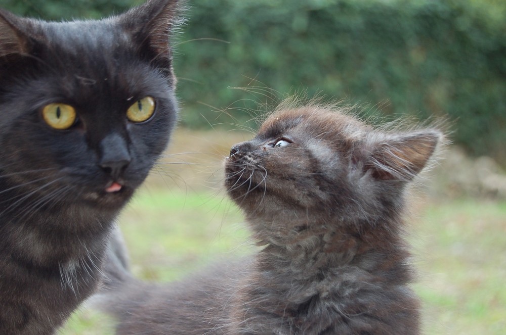 Mama, warum guckst du denn so doof???