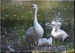 Mama, was hat die denn für´n komischen Kasten vor´m Gesicht ?