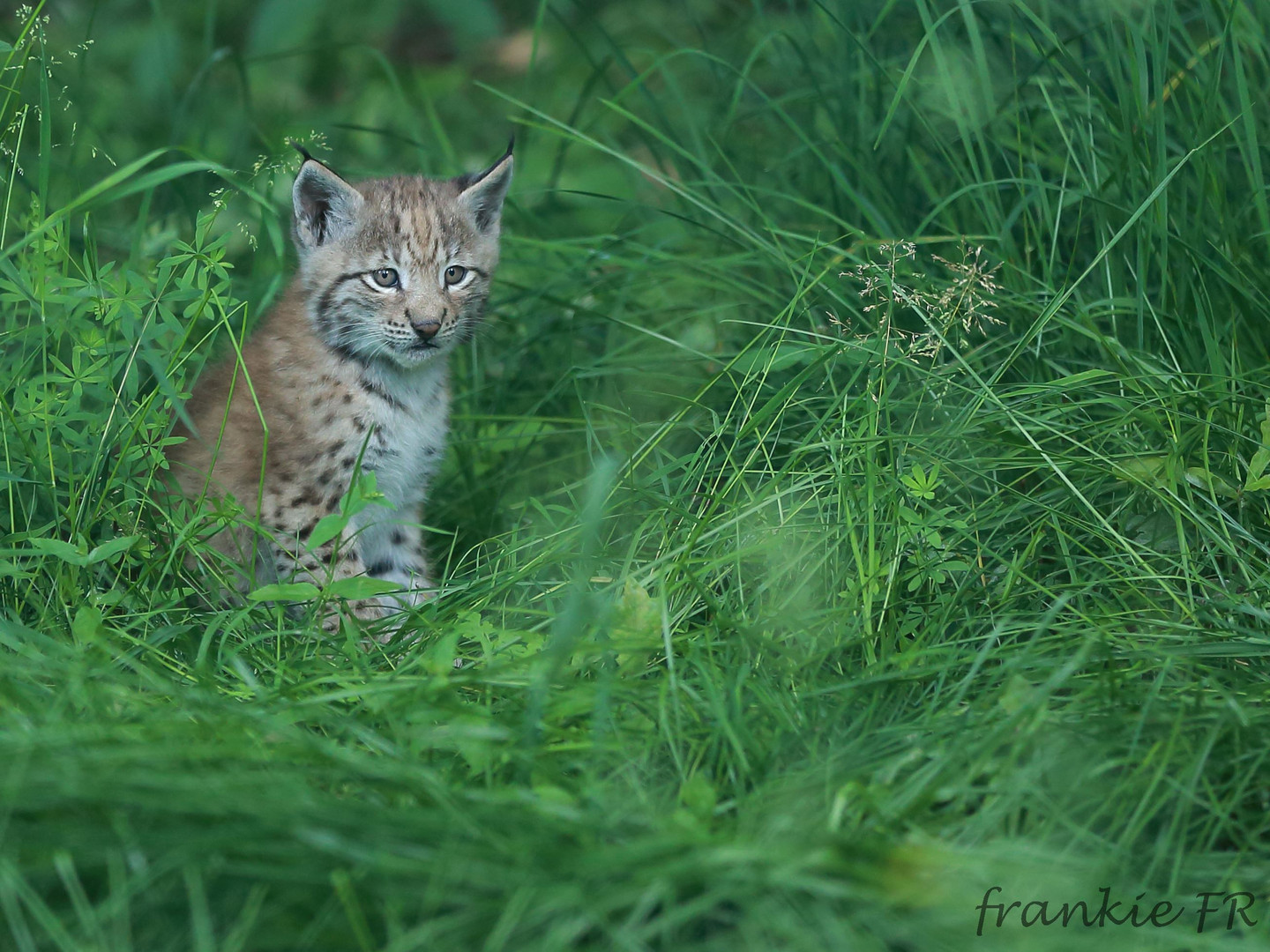 Mama, wo bist Du?