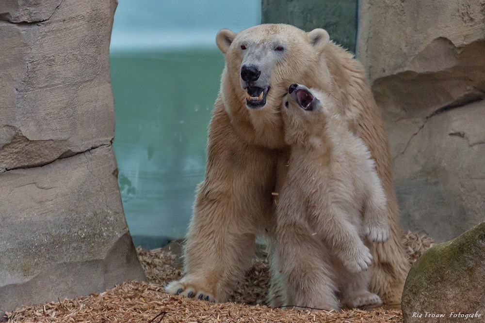 Mama....hab dich lieb