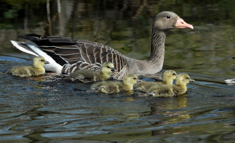 Mama´Lieblinge` unterwegs