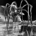 Maman