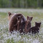 Maman est là !