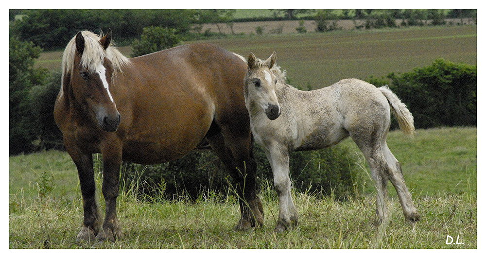 ..."Maman, on nous regarde"...