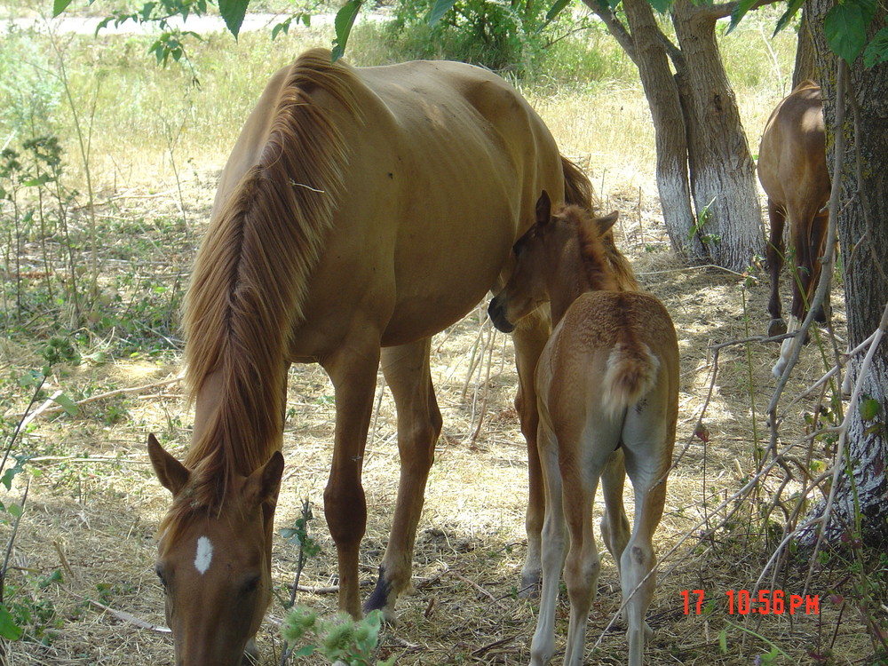 Mamas Milch schmeckt am besten...