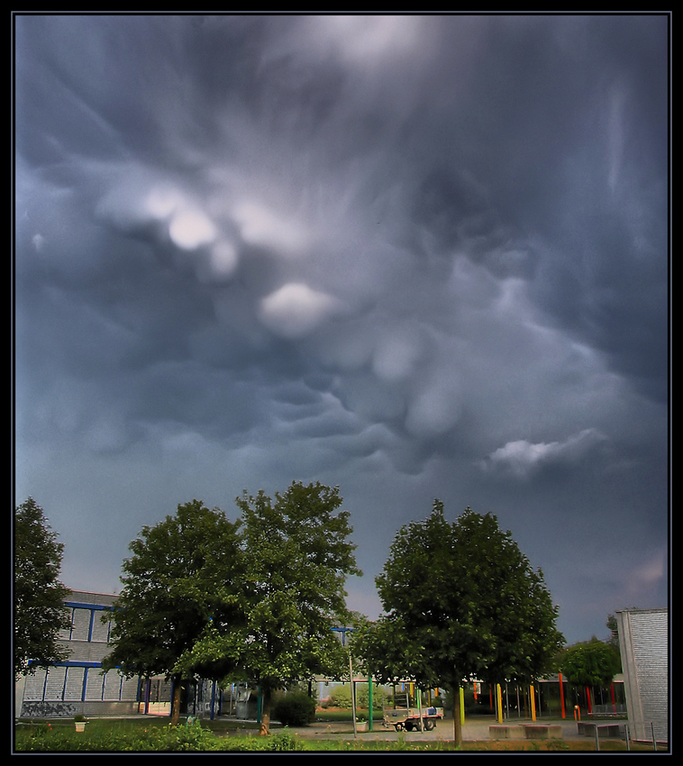 Mamatus