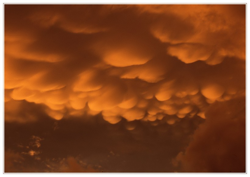 Mamatus