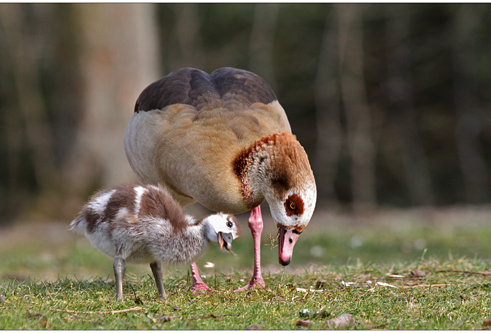 mama...was macht die da..? :-)