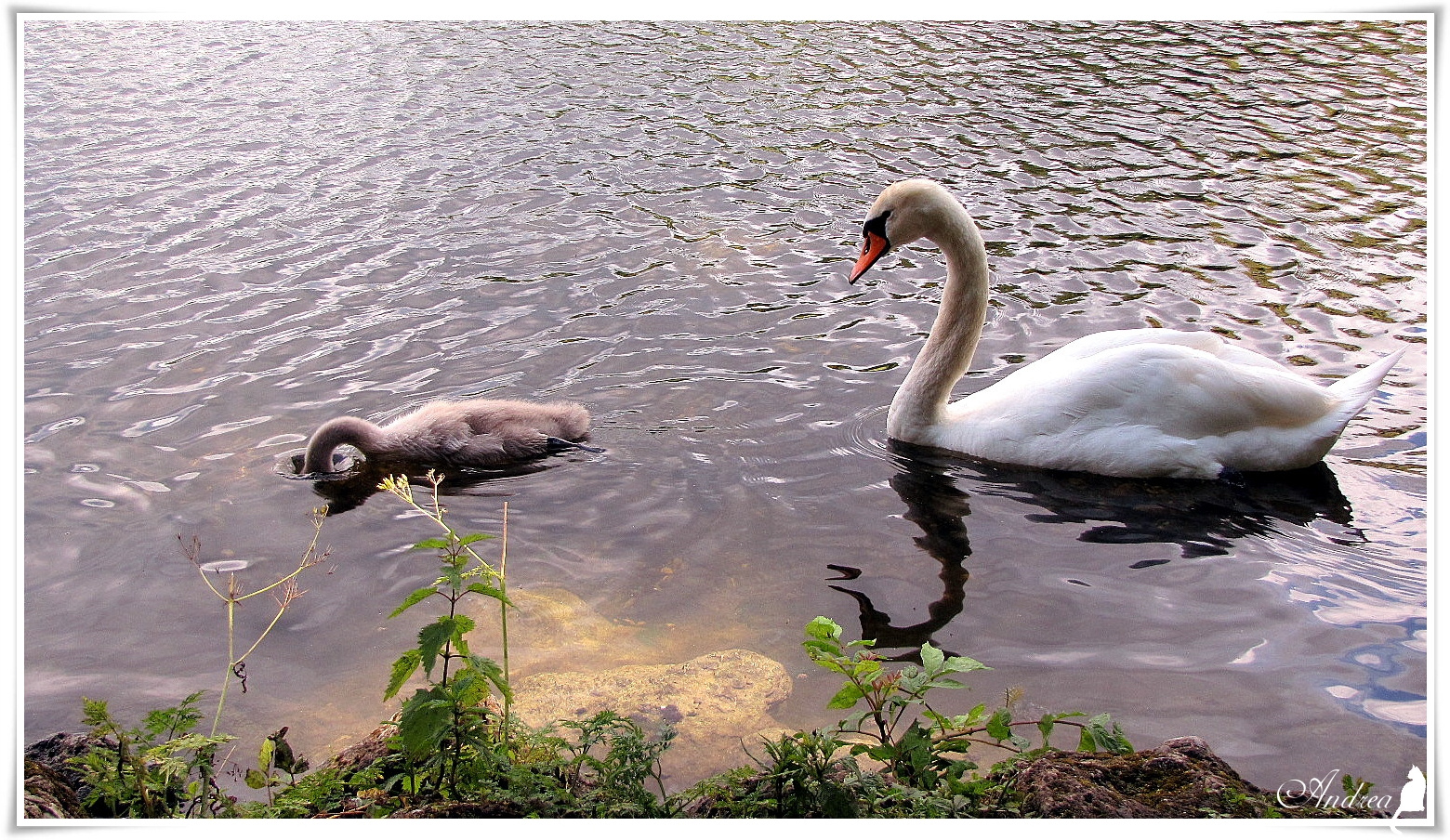 Mami, ich sehe was, was du nicht siehst :-))