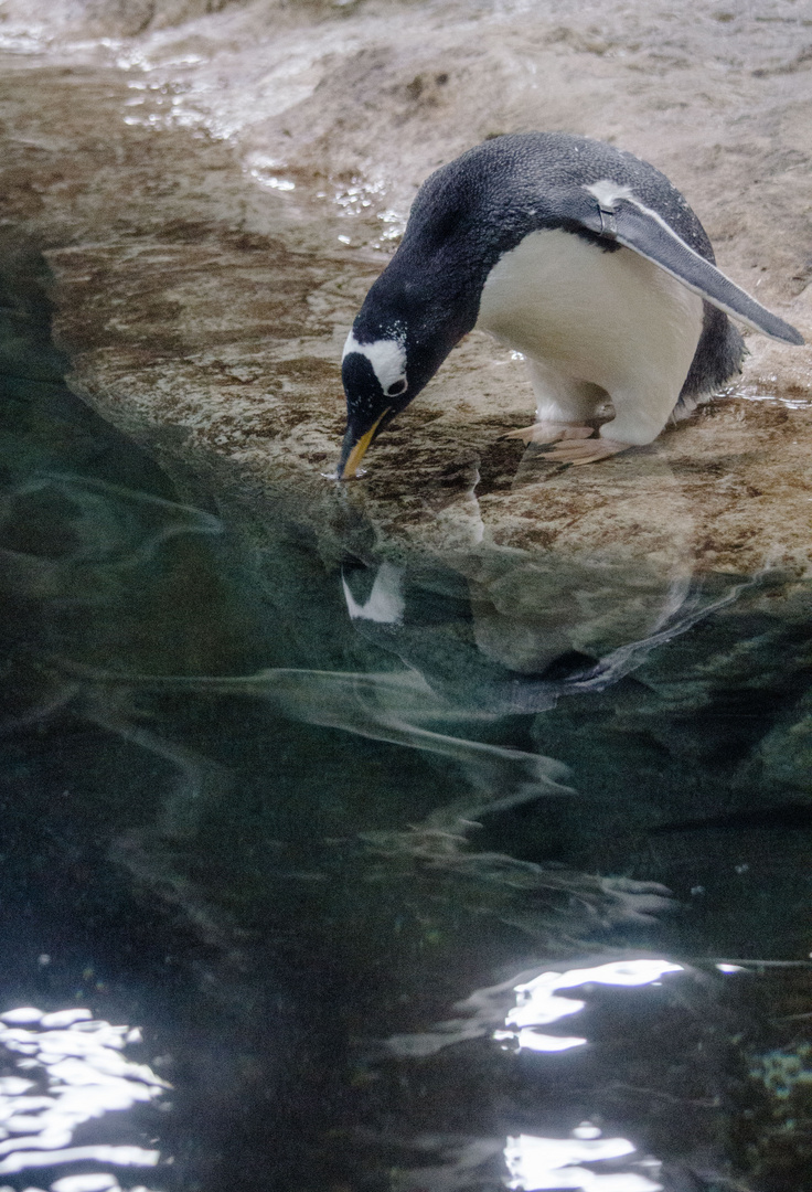 Mami, ist das Wasser auch wirklich nicht kalt?