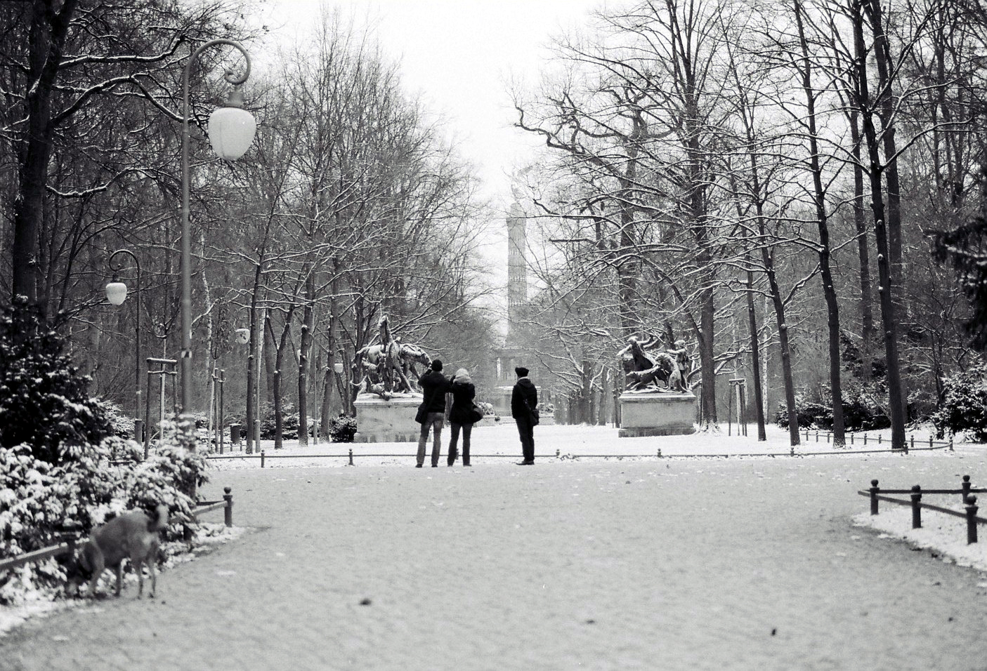 Mamiya 645 1000s Kodak tri-x 400