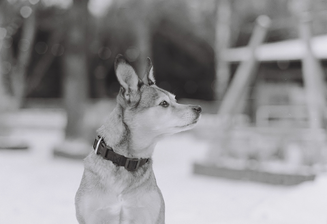 Mamiya645 1000s Ilford HP5 Plus 80mm, f1.9