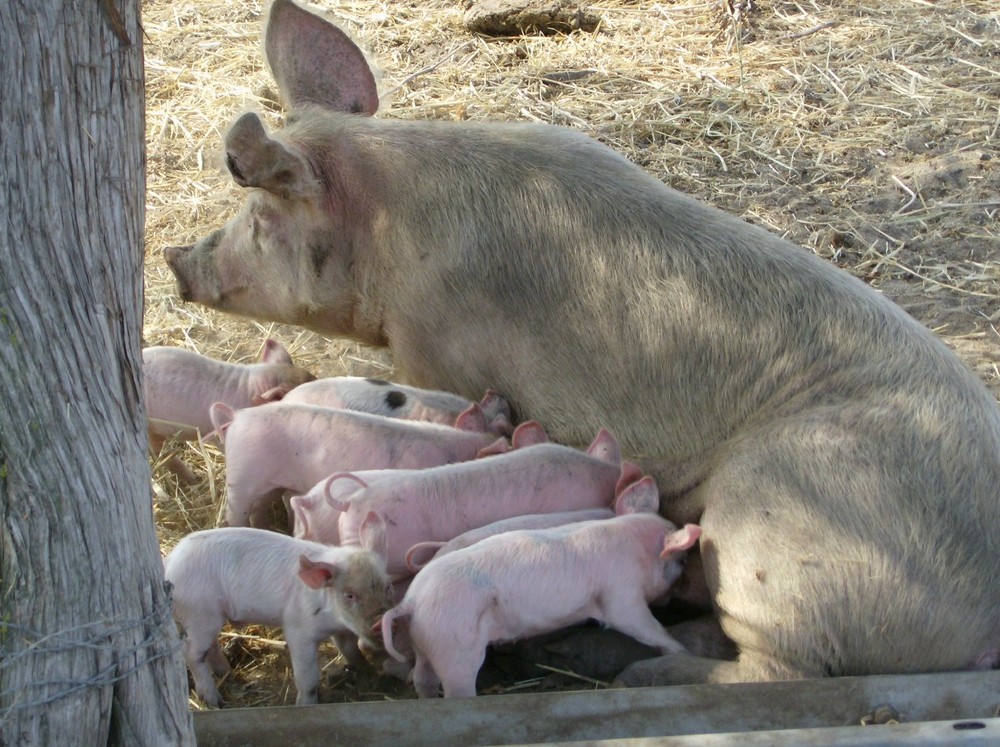 mamma e figli