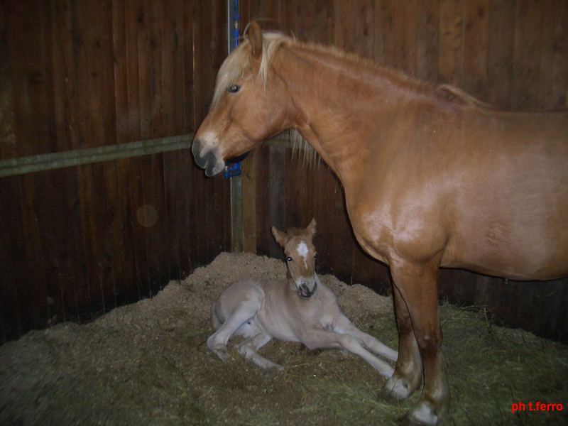 Mamma e figlia