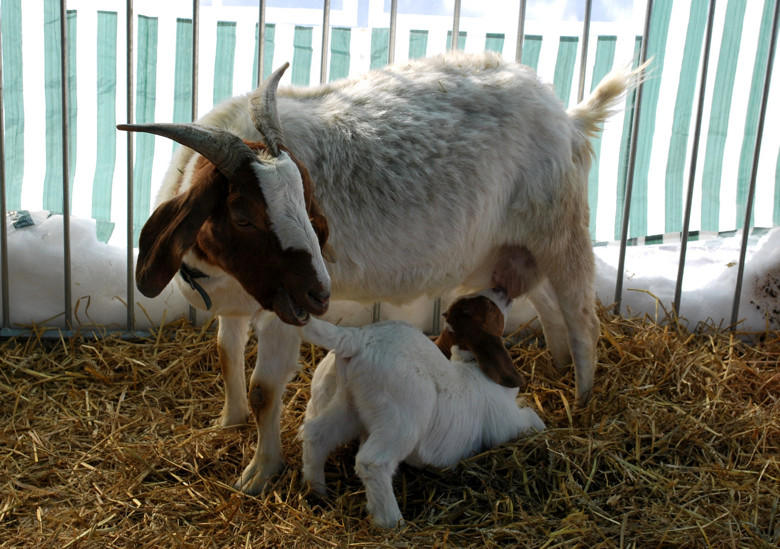 Mamma e figlio :)