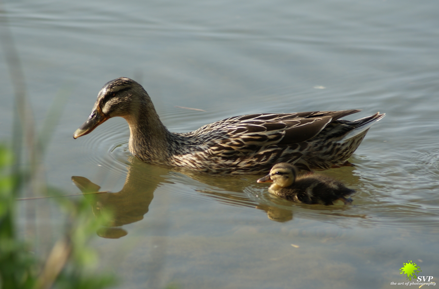 Mamma e figlio