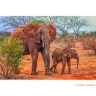 Mamma elefante con Cucciolo