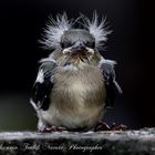 Mamma, mamma!!!... un brutto signore mi guarda!