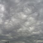 Mammatus ...