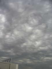 Mammatus ...