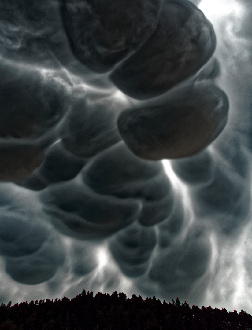 Mammatus