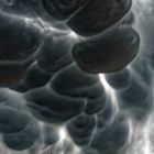 Mammatus