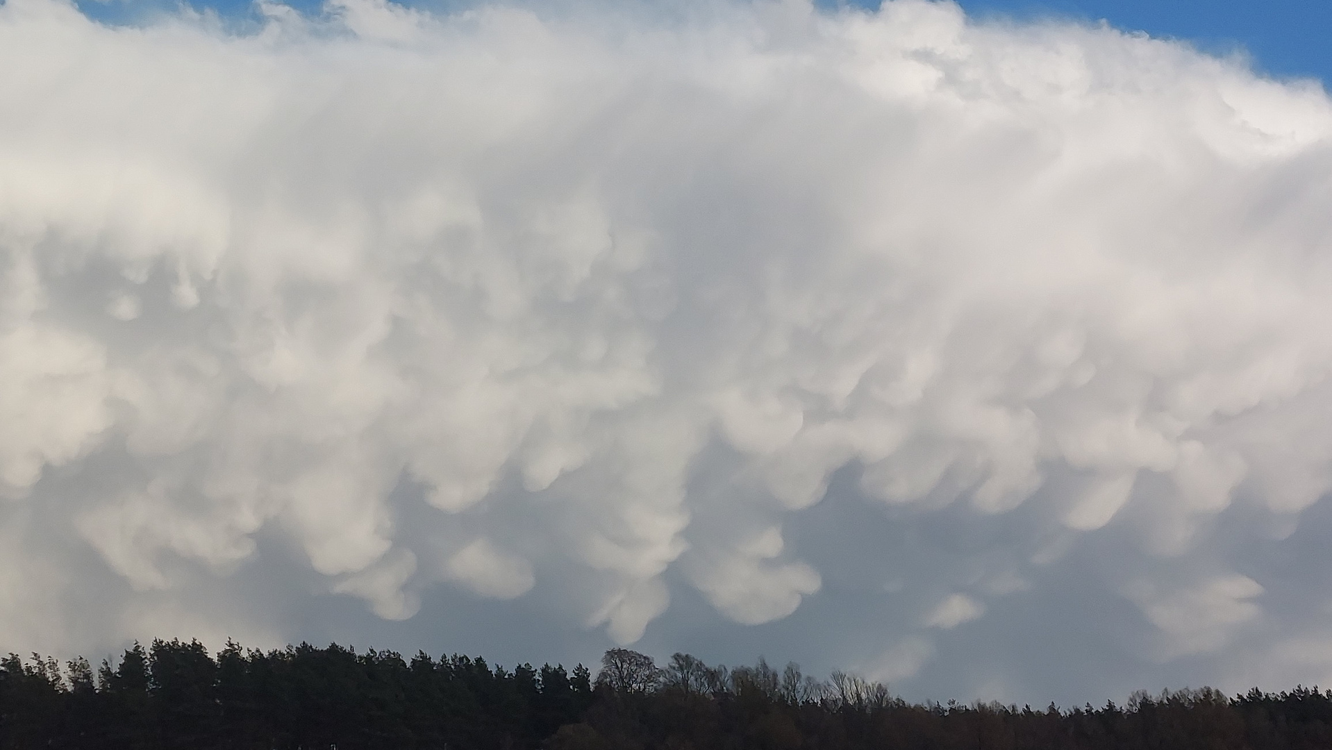 Mammatus 2