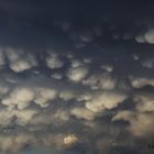 Mammatus