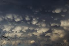 Mammatus